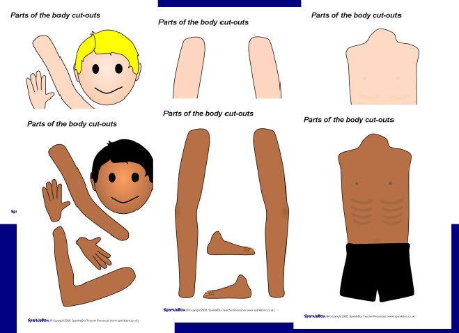 Parts of the body cutouts (SB1638) SparkleBox