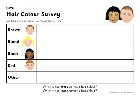 Hair colour survey worksheet (SB7525) - SparkleBox