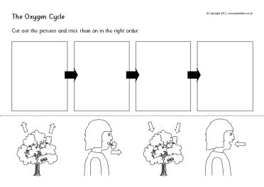 The Oxygen Cycle cut and stick worksheets (SB8191) - SparkleBox
