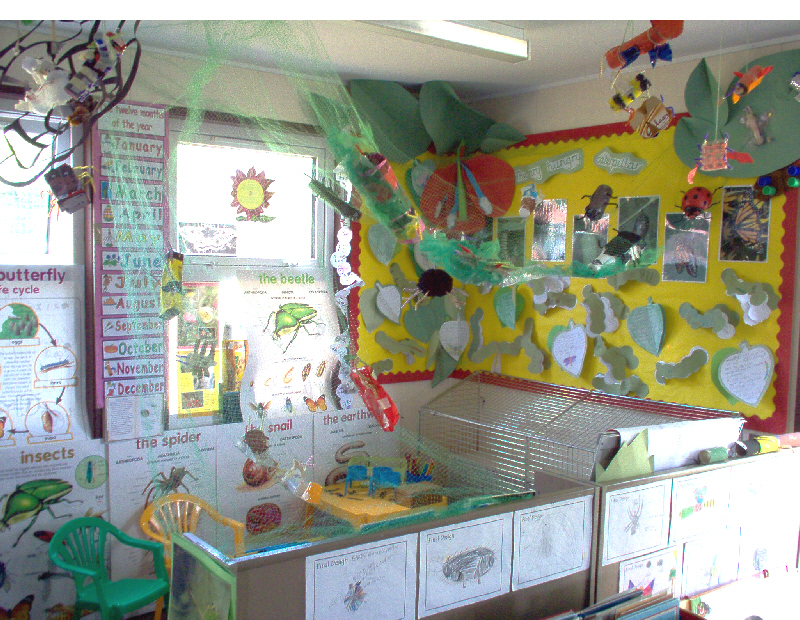 Minibeast research roleplay area classroom display photo Photo