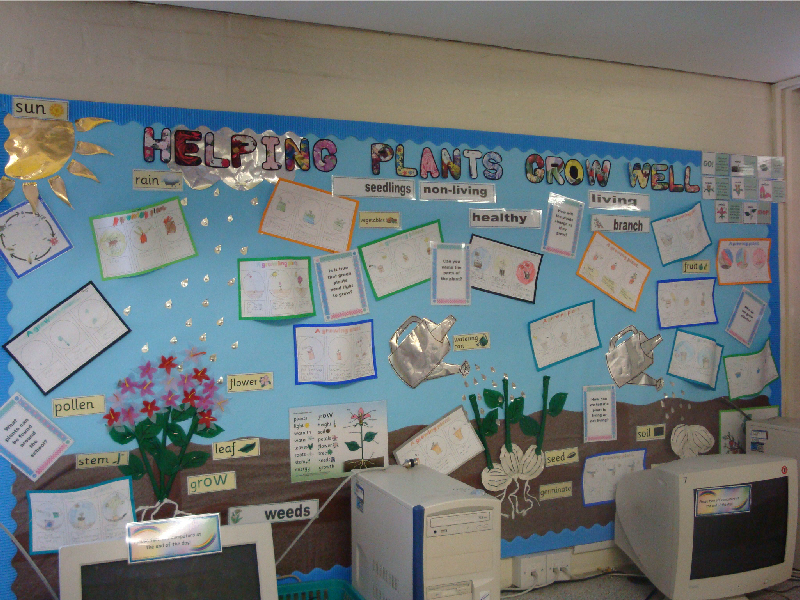 Plants classroom display photo Photo gallery SparkleBox