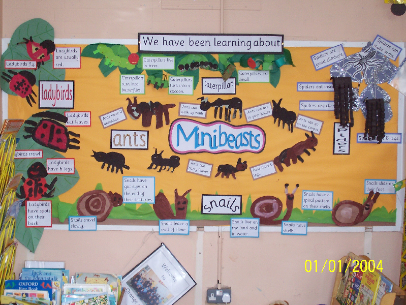 Minibeasts classroom display photo Photo gallery SparkleBox