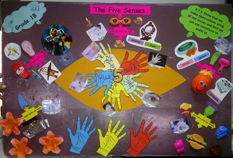 The Five Senses classroom display photo - Photo gallery - SparkleBox