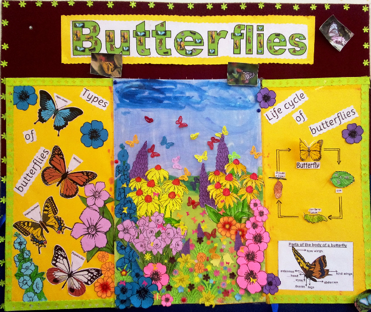 Butterflies classroom display photo SparkleBox