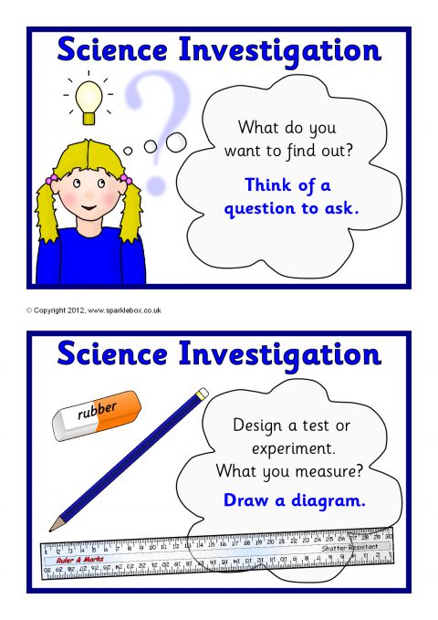 Science Investigation Prompt Cards (SB7408) - SparkleBox