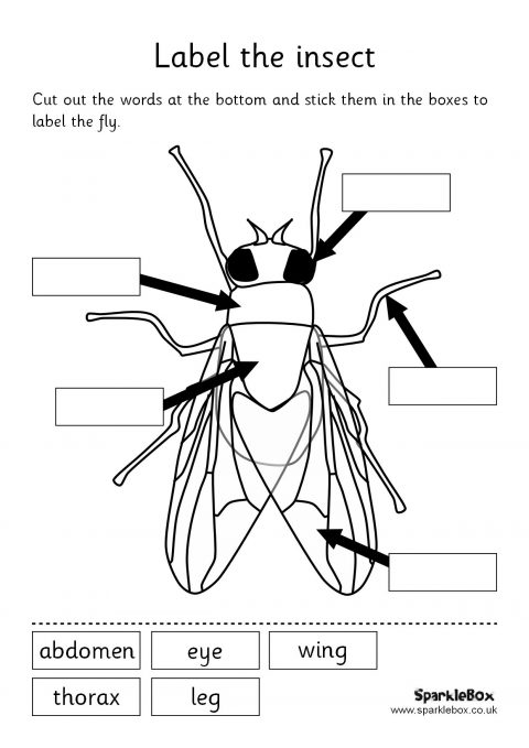 word-parts-worksheet