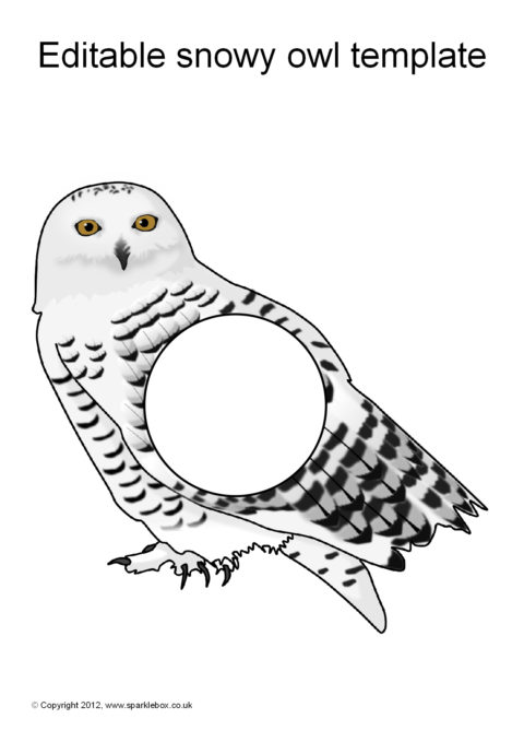 Snowy Owl Template