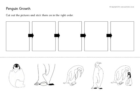 Penguin Life Cycle Cut and Stick (SB10783) - SparkleBox