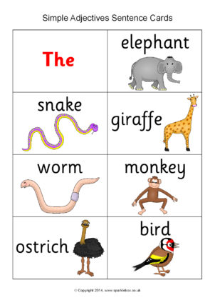 Adjectives Printables for Primary School - SparkleBox