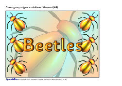 Minibeast-themed group signs - A4 (SB1477) - SparkleBox