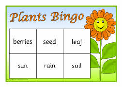 Plants bingo (SB4996) - SparkleBox
