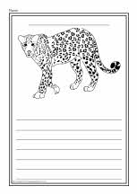 Safari animals colour and write worksheets (SB5179) - SparkleBox