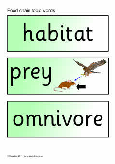 Food chain topic word cards (SB6666) - SparkleBox