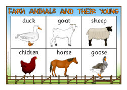 Farm animals and their young bingo (SB7935) - SparkleBox