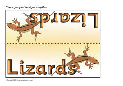 Reptiles class group table signs (SB8537) - SparkleBox