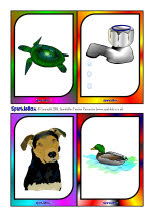 Phonology flash cards (SB454) - SparkleBox
