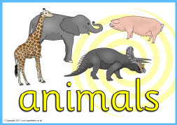 Small World Area signs (SB998) - SparkleBox
