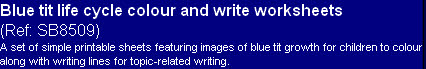 Blue tit life cycle colour and write worksheets 
(Ref: SB8509)
A set of simple printable sheets featuring images of blue tit growth for children to colour along with writing lines for topic-related writing.