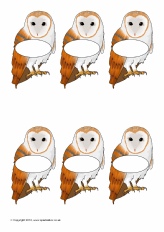 View Full Collection