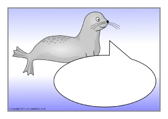  View Full Collection