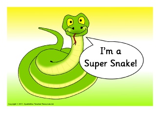  View Full Collection