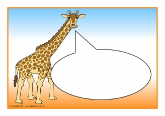  View Full Collection