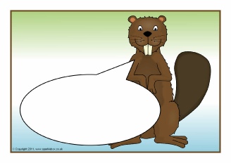  View Full Collection