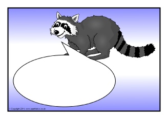  View Full Collection