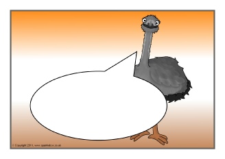  View Full Collection