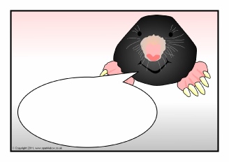  View Full Collection