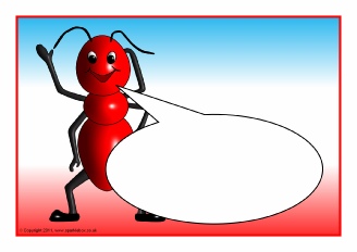  View Full Collection