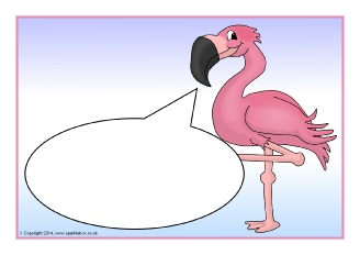  View Full Collection