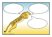 Leopards