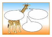 Giraffes