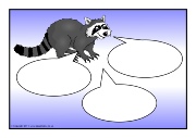 Raccoons