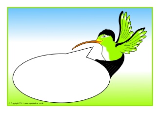  View Full Collection