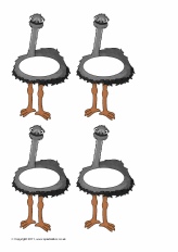 View Full Collection