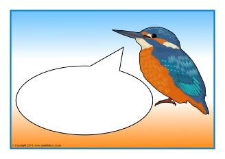  View Full Collection