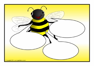  View Full Collection