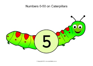  View Full Collection