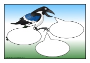 Magpies