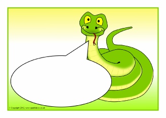  View Full Collection