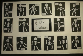 Our Skeleton