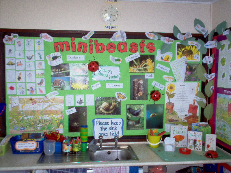 Minibeasts Classroom Display Photo Gallery SparkleBox