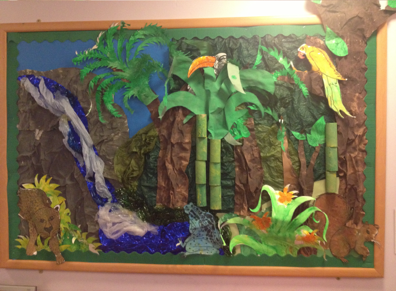 Rainforest Classroom Display Photo SparkleBox