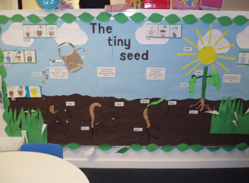The Tiny Seed Classroom Display Photo SparkleBox