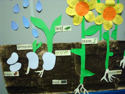Planting and Growing Seeds Classroom Display Photo - SparkleBox