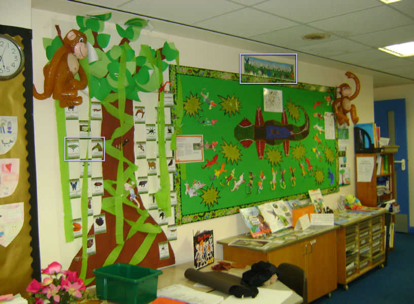 The Rainforest Classroom Display Photo SparkleBox