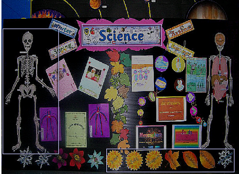 Science Classroom Displays