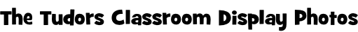 The Tudors Classroom Display Photos